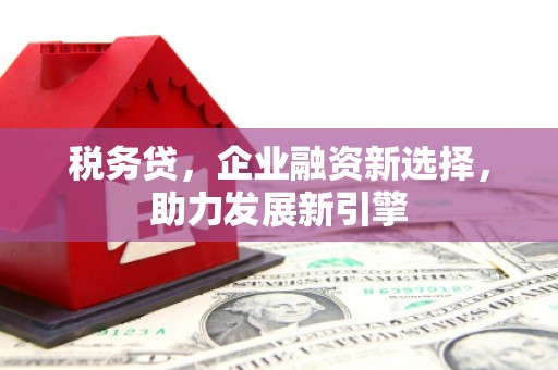 留坝税务贷，企业融资新选择，助力发展新引擎