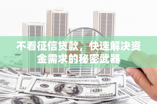 留坝不看征信贷款，快速解决资金需求的秘密武器