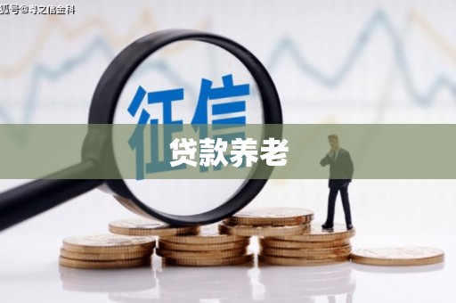 留坝贷款养老