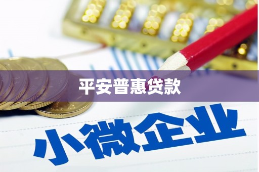 留坝平安普惠贷款