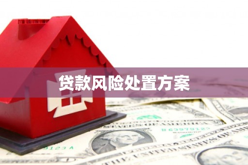 留坝贷款风险处置方案