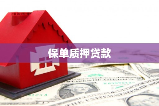 留坝保单质押贷款