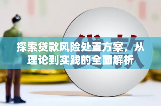 留坝探索贷款风险处置方案，从理论到实践的全面解析