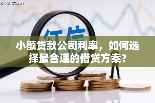 留坝小额贷款公司利率，如何选择最合适的借贷方案？