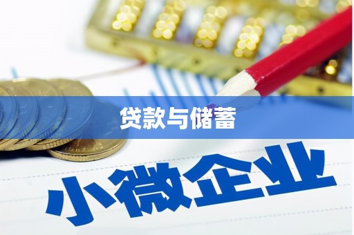 留坝贷款与储蓄