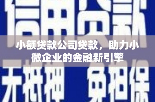 留坝小额贷款公司贷款，助力小微企业的金融新引擎