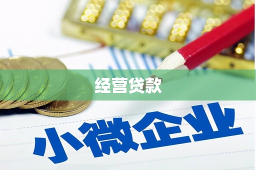 留坝经营贷款