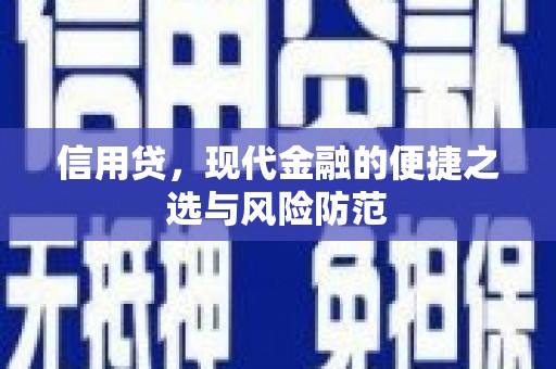 留坝信用贷，现代金融的便捷之选与风险防范