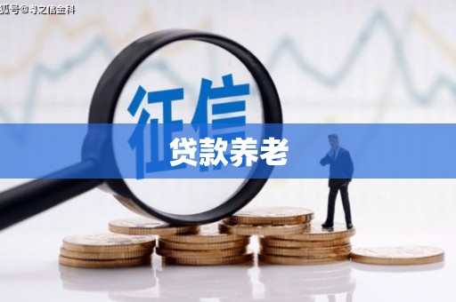留坝贷款养老