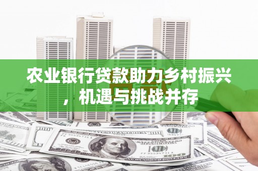 留坝农业银行贷款助力乡村振兴，机遇与挑战并存