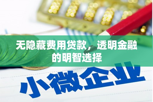 留坝无隐藏费用贷款，透明金融的明智选择