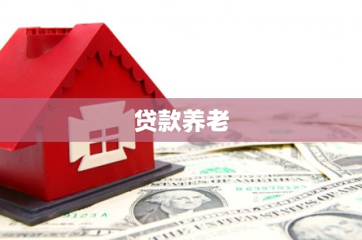 留坝贷款养老