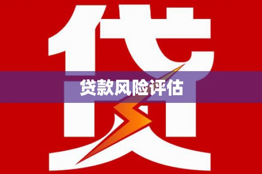 留坝贷款风险评估