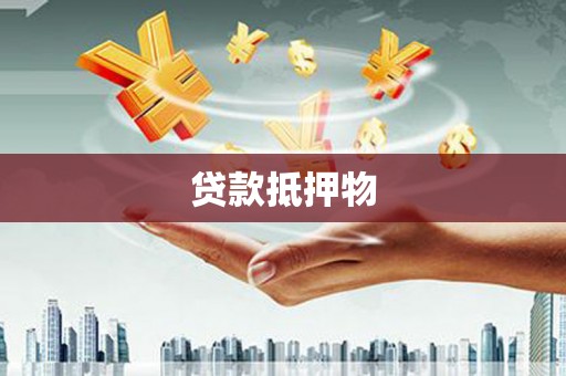 留坝贷款抵押物