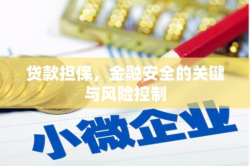 留坝贷款担保，金融安全的关键与风险控制