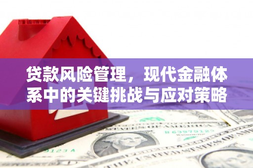 留坝贷款风险管理，现代金融体系中的关键挑战与应对策略