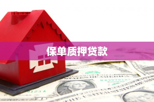留坝保单质押贷款