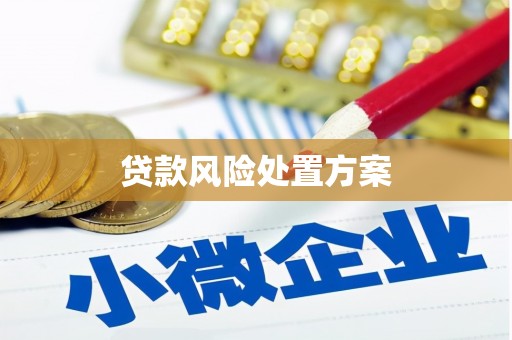 留坝贷款风险处置方案