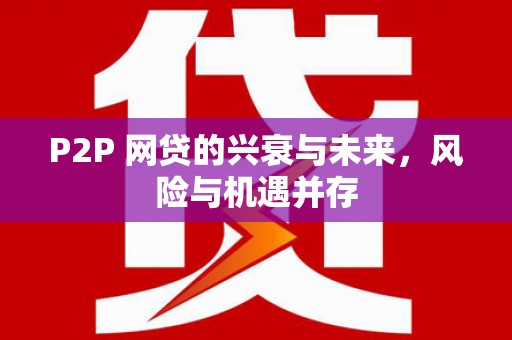 留坝P2P 网贷的兴衰与未来，风险与机遇并存