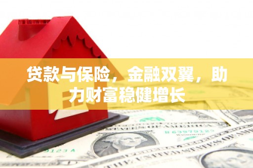 留坝贷款与保险，金融双翼，助力财富稳健增长