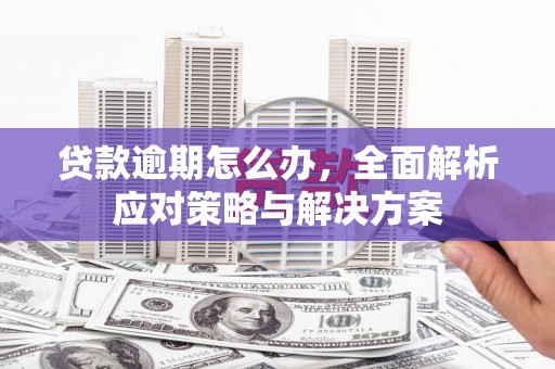 留坝贷款逾期怎么办，全面解析应对策略与解决方案