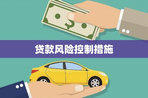 留坝贷款风险控制措施