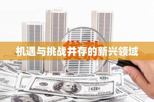 留坝机遇与挑战并存的新兴领域