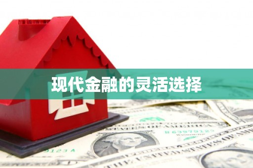 留坝现代金融的灵活选择