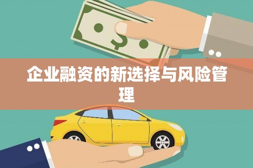 留坝企业融资的新选择与风险管理