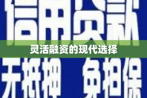 留坝灵活融资的现代选择