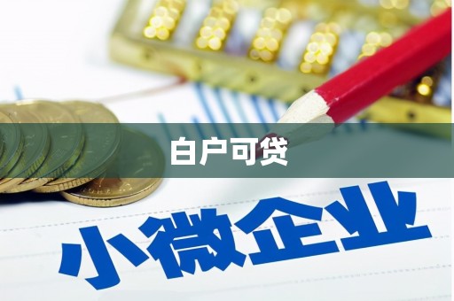 留坝白户可贷