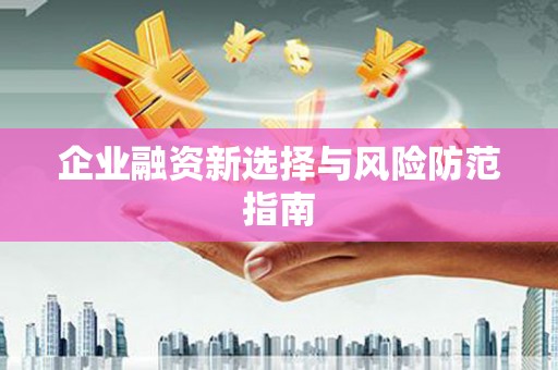 留坝企业融资新选择与风险防范指南
