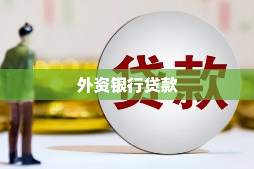 留坝外资银行贷款