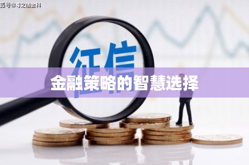 留坝金融策略的智慧选择