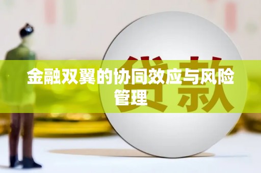 留坝金融双翼的协同效应与风险管理