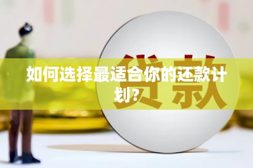 留坝如何选择最适合你的还款计划？